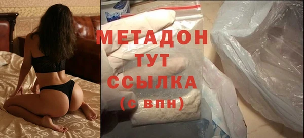 сатива Новокубанск