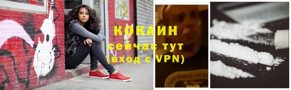 амф Новодвинск