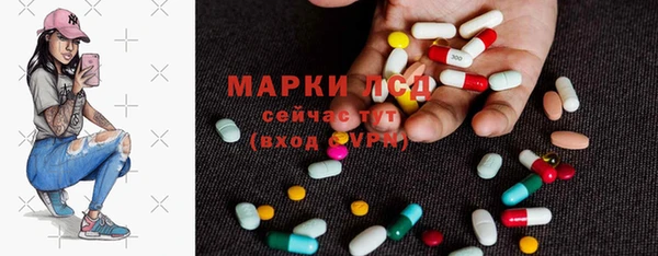 спайс Нея