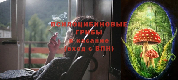 амф Новодвинск
