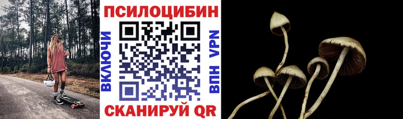 Галлюциногенные грибы MAGIC MUSHROOMS Новая Ладога