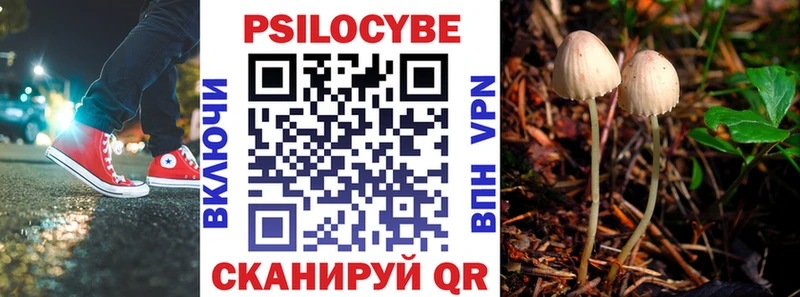 Купить закладки  Новая Ладога  Галлюциногенные грибы Magic Shrooms 