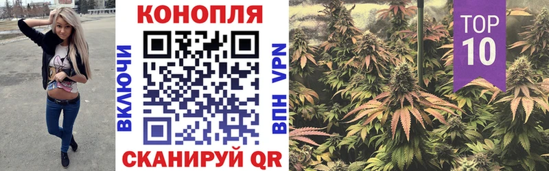 Конопля конопля  Купить где  Новая Ладога 